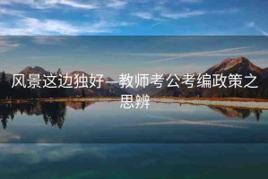 風(fēng)景這邊獨(dú)好—教師考公考編政策之思辨