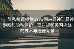 “隱私秘視頻黃www網(wǎng)站原神”原神游戲與隱私保護(hù)，面對視頻黃網(wǎng)挑戰(zhàn)的技術(shù)與道德考量