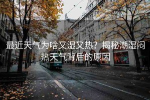 最近天氣為啥又濕又熱？揭秘潮濕悶熱天氣背后的原因