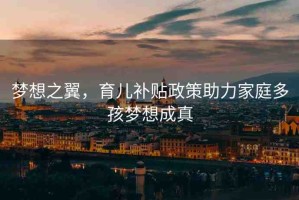 夢(mèng)想之翼，育兒補(bǔ)貼政策助力家庭多孩夢(mèng)想成真