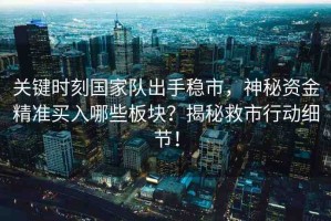 關(guān)鍵時(shí)刻國(guó)家隊(duì)出手穩(wěn)市，神秘資金精準(zhǔn)買(mǎi)入哪些板塊？揭秘救市行動(dòng)細(xì)節(jié)！