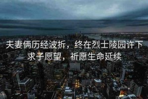 夫妻倆歷經(jīng)波折，終在烈士陵園許下求子愿望，祈愿生命延續(xù)