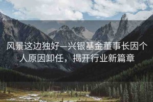 風景這邊獨好—興銀基金董事長因個人原因卸任，揭開行業(yè)新篇章