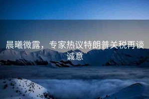 晨曦微露，專家熱議特朗普關(guān)稅再談?wù)\意