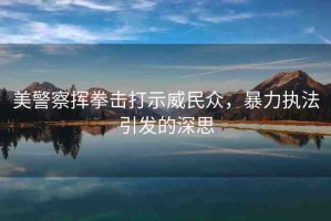 美警察揮拳擊打示威民眾，暴力執(zhí)法引發(fā)的深思