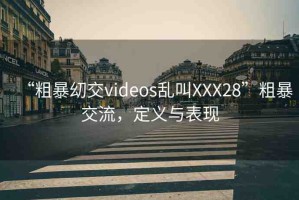 “粗暴?交videos亂叫XXX28”粗暴交流，定義與表現(xiàn)