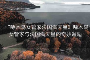 “啄木鳥女管家法國滿天星》啄木鳥女管家與法國滿天星的奇妙邂逅