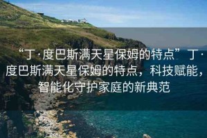 “丁·度巴斯?jié)M天星保姆的特點(diǎn)”丁·度巴斯?jié)M天星保姆的特點(diǎn)，科技賦能，智能化守護(hù)家庭的新典范
