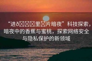 “進??里?片暗夜”科技探索，暗夜中的香蕉與蜜桃，探索網(wǎng)絡(luò)安全與隱私保護的新領(lǐng)域