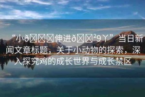 “小??伸進(jìn)??9丫”當(dāng)日新聞文章標(biāo)題，關(guān)于小動(dòng)物的探索，深入探究雞的成長世界與成長禁區(qū)