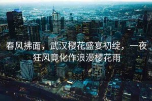 春風(fēng)拂面，武漢櫻花盛宴初綻，一夜狂風(fēng)竟化作浪漫櫻花雨
