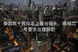 泰國數(shù)千民眾走上曼谷街頭，高喊口號要求總理辭職