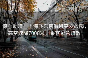 驚心動魄！上海飛東京航班突發(fā)故障，高空速降7000米，乘客緊急疏散