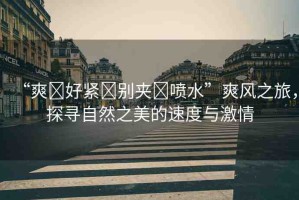 “爽?好緊?別夾?噴水”爽風(fēng)之旅，探尋自然之美的速度與激情