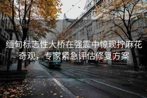 緬甸標志性大橋在強震中驚現(xiàn)擰麻花奇觀，專家緊急評估修復方案