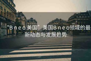 “B n e o 美國”美國B n e o領(lǐng)域的最新動態(tài)與發(fā)展趨勢