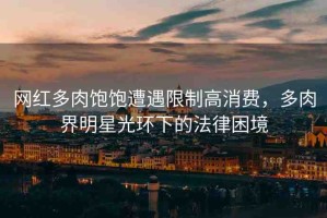 網紅多肉飽飽遭遇限制高消費，多肉界明星光環(huán)下的法律困境