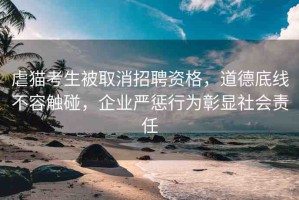 虐貓考生被取消招聘資格，道德底線不容觸碰，企業(yè)嚴(yán)懲行為彰顯社會(huì)責(zé)任