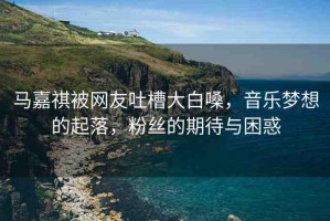 馬嘉祺被網(wǎng)友吐槽大白嗓，音樂夢想的起落，粉絲的期待與困惑