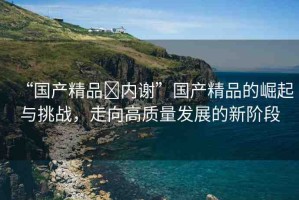 “國產(chǎn)精品?內(nèi)謝”國產(chǎn)精品的崛起與挑戰(zhàn)，走向高質(zhì)量發(fā)展的新階段