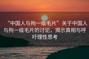 “中國(guó)人與拘一級(jí)毛片”關(guān)于中國(guó)人與拘一級(jí)毛片的討論，揭示真相與呼吁理性思考