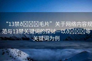 “13禁??毛片”關(guān)于網(wǎng)絡(luò)內(nèi)容規(guī)范與13禁關(guān)鍵詞的探討—以??等關(guān)鍵詞為例