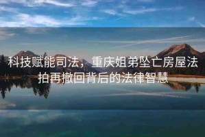 科技賦能司法，重慶姐弟墜亡房屋法拍再撤回背后的法律智慧