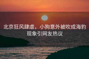 北京狂風肆虐，小狗意外被吹成海豹現象引網友熱議