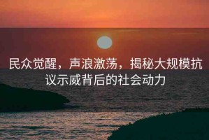 民眾覺醒，聲浪激蕩，揭秘大規(guī)?？棺h示威背后的社會動力