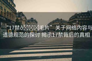 “17禁??毛片”關(guān)于網(wǎng)絡(luò)內(nèi)容與道德規(guī)范的探討 揭示17禁背后的真相