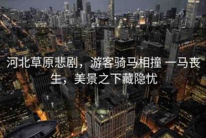 河北草原悲劇，游客騎馬相撞 一馬喪生，美景之下藏隱憂
