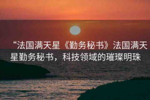 “法國滿天星《勤務(wù)秘書》法國滿天星勤務(wù)秘書，科技領(lǐng)域的璀璨明珠