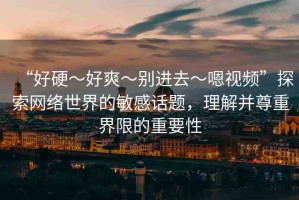 “好硬～好爽～別進(jìn)去～嗯視頻”探索網(wǎng)絡(luò)世界的敏感話題，理解并尊重界限的重要性