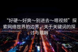 “好硬～好爽～別進(jìn)去～嗯視頻”探索網(wǎng)絡(luò)世界的邊界，關(guān)于關(guān)鍵詞的探討與理解