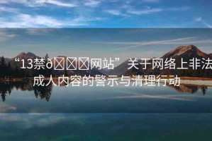 “13禁??網(wǎng)站”關(guān)于網(wǎng)絡(luò)上非法成人內(nèi)容的警示與清理行動(dòng)
