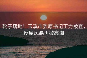 靴子落地！玉溪市委原書記王力被查，反腐風暴再掀高潮