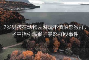 7歲男孩在動物園游玩不慎觸怒猴群，豎中指引燃猴子暴怒群毆事件
