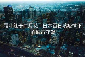 霜葉紅于二月花—日本百日咳疫情下的城市守望