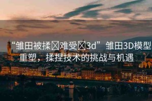 “雛田被揉?難受?3d”雛田3D模型重塑，揉捏技術(shù)的挑戰(zhàn)與機(jī)遇