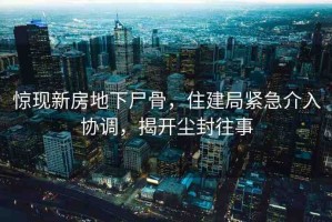 驚現(xiàn)新房地下尸骨，住建局緊急介入?yún)f(xié)調(diào)，揭開塵封往事