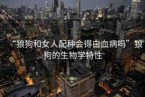 “狼狗和女人配種會(huì)得白血病嗎”狼狗的生物學(xué)特性