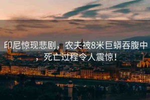 印尼驚現(xiàn)悲劇，農(nóng)夫被8米巨蟒吞腹中，死亡過程令人震驚！