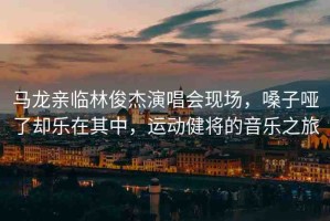 馬龍親臨林俊杰演唱會(huì)現(xiàn)場(chǎng)，嗓子啞了卻樂(lè)在其中，運(yùn)動(dòng)健將的音樂(lè)之旅