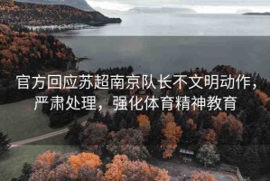 官方回應(yīng)蘇超南京隊長不文明動作，嚴(yán)肅處理，強(qiáng)化體育精神教育