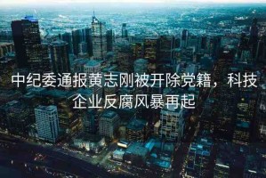 中紀(jì)委通報(bào)黃志剛被開(kāi)除黨籍，科技企業(yè)反腐風(fēng)暴再起