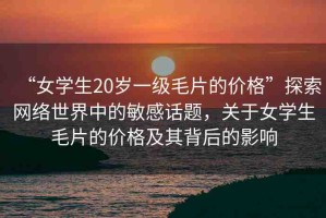“女學(xué)生20歲一級(jí)毛片的價(jià)格”探索網(wǎng)絡(luò)世界中的敏感話題，關(guān)于女學(xué)生毛片的價(jià)格及其背后的影響