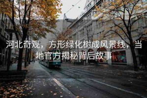河北奇觀，方形綠化樹成風(fēng)景線，當?shù)毓俜浇颐乇澈蠊适? title=
