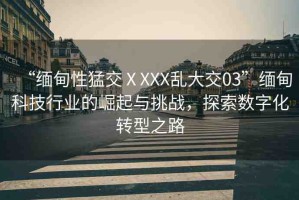 “緬甸性猛交ⅩXXX亂大交03”緬甸科技行業(yè)的崛起與挑戰(zhàn)，探索數(shù)字化轉(zhuǎn)型之路