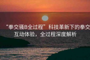 “拳交騷B全過程”科技革新下的拳交互動(dòng)體驗(yàn)，全過程深度解析
