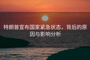 特朗普宣布國家緊急狀態(tài)，背后的原因與影響分析